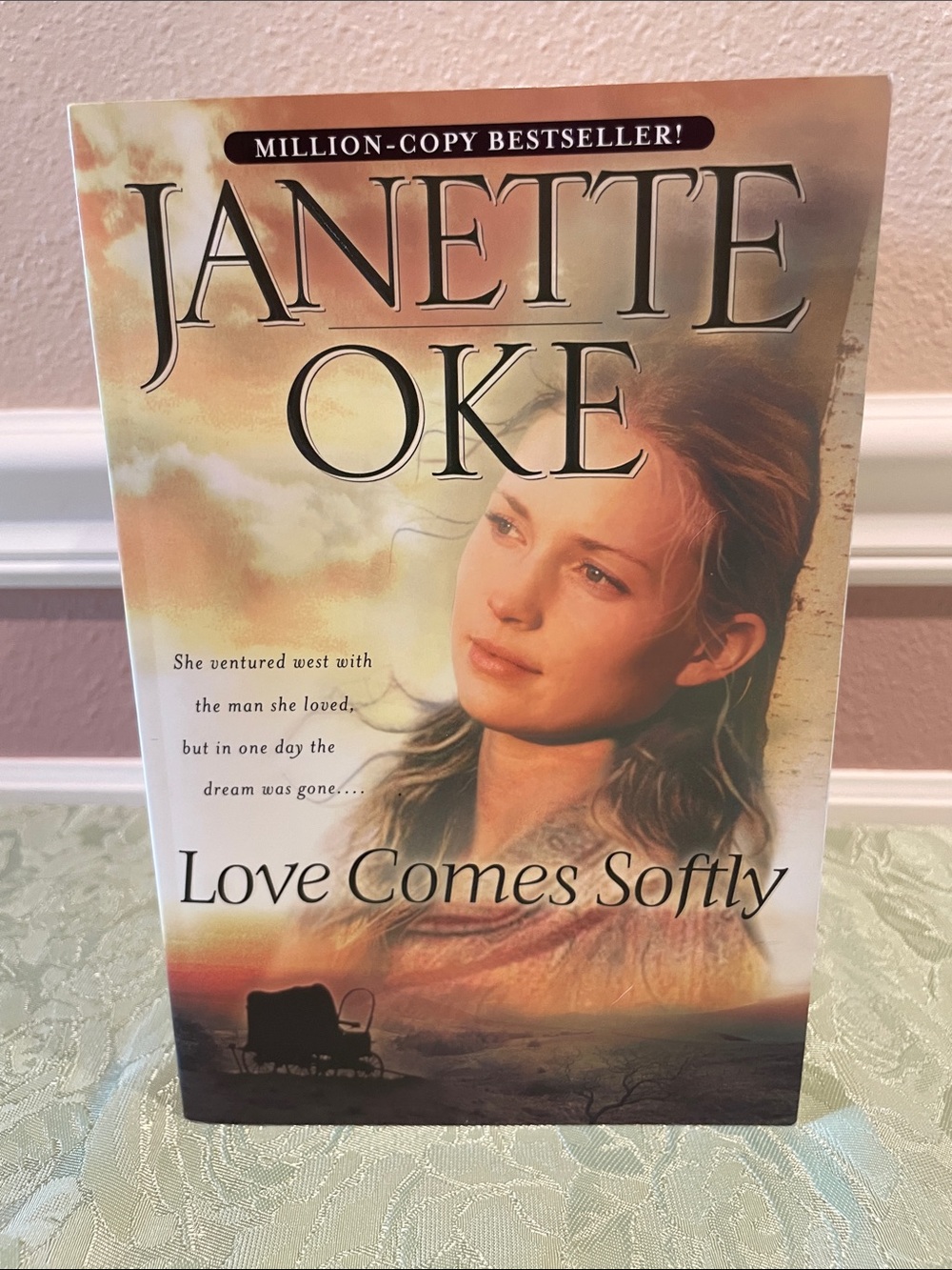 'Love Comes Softly' Paperback Book Series Set